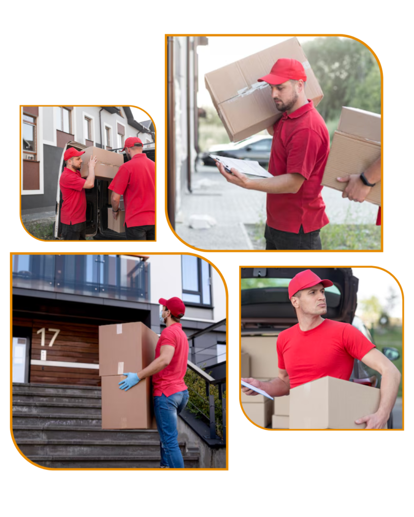 Professional furniture movers Auckland