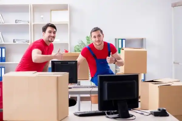 Professional office packing and services in Auckland